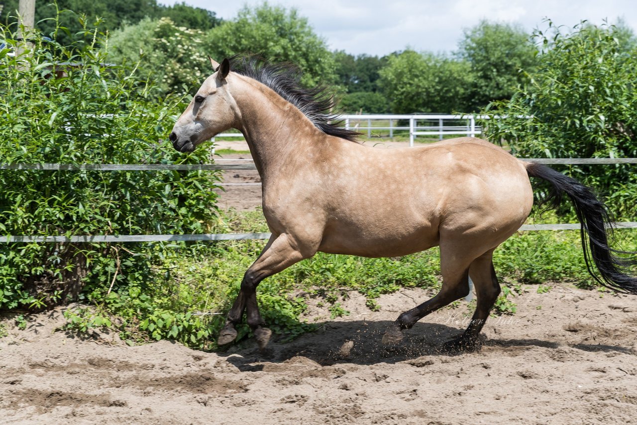 Bild 182 - Vivi